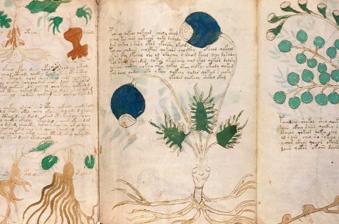 Top 10 Unsolved Mysteries of the Earth
