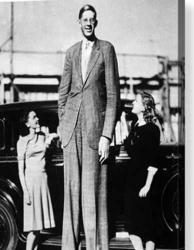 The richest man in the world