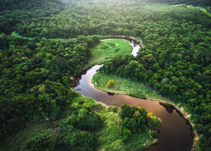 The Congo Basin: Africa's Last Great Wilderness