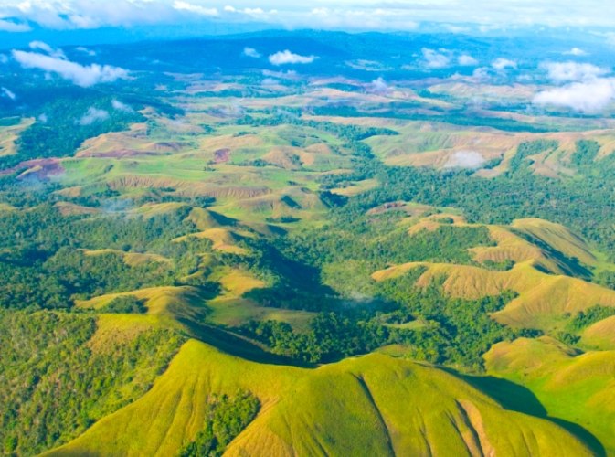 The Congo Basin: Africa's Last Great Wilderness
