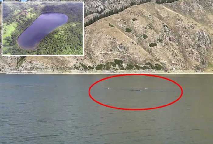 Mongolian Death Worm