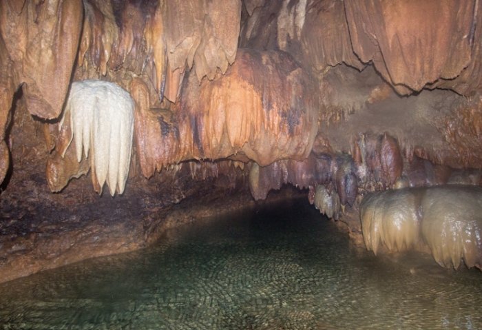 The Amazon Rainforest The Amazon Rainforest